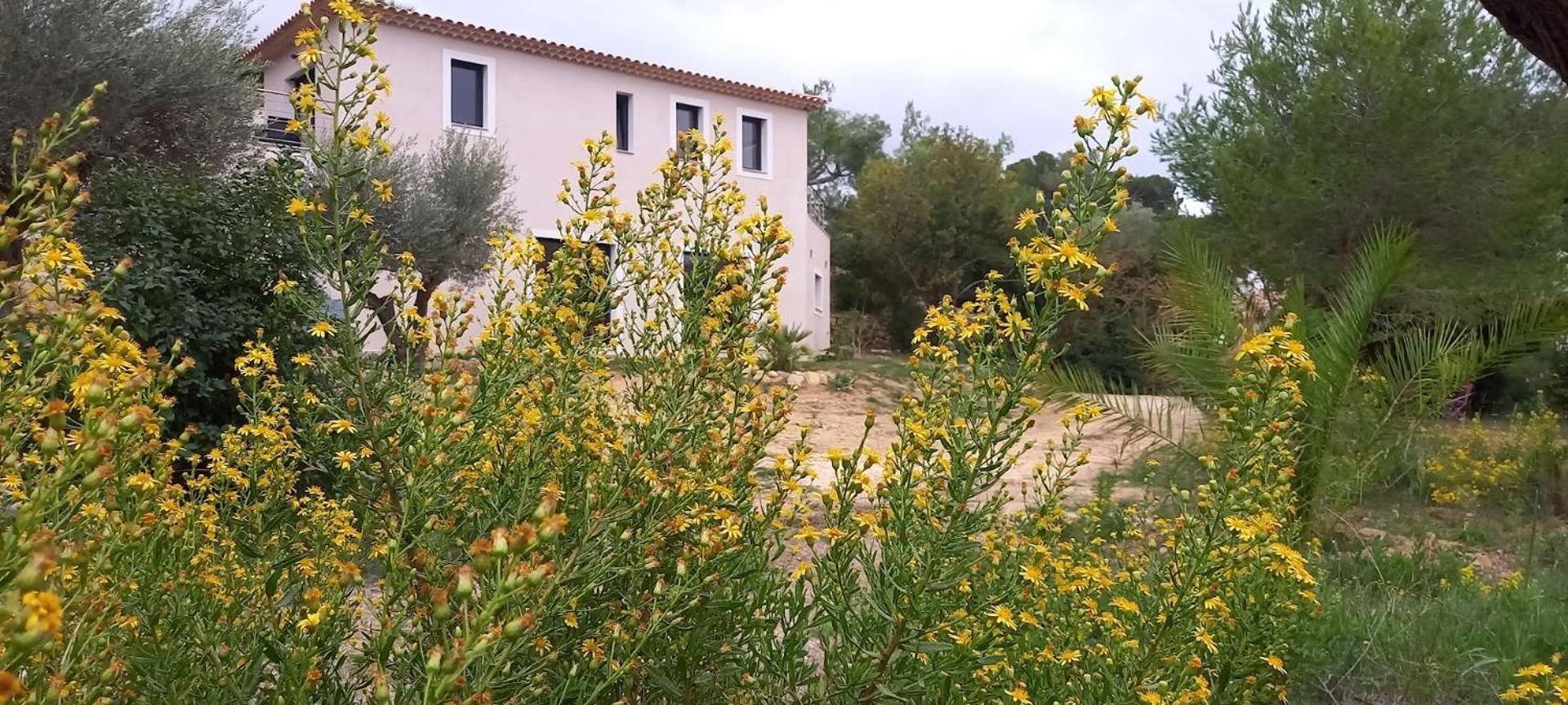 Domaine En Pleine Nature Et Tout Pres De La Plage Sanary-sur-Mer Zewnętrze zdjęcie